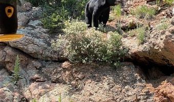 429 Road P-53 Rd, Bailey, CO 80421