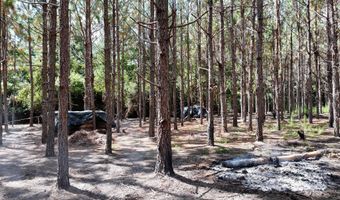 Highway 112, Abbeville, GA 31001