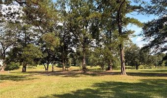 Lot 451 CHINAWOOD Drive, Abita Springs, LA 70420