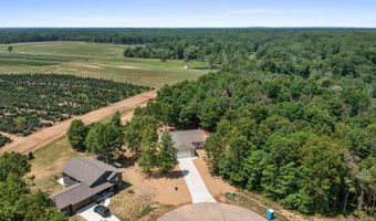 928 Armintrout Ridge Ct, Allegan, MI 49010