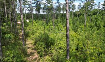 8450 Robinsonville Rd, Atmore, AL 36502