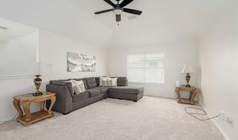 206 Del Cano Dr, Allen, TX 75002