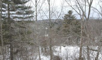 Patterson Hill Road lot 2, Belfast, ME 04915