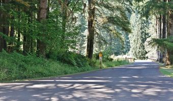 9965 BEACH Dr, Birkenfeld, OR 97016