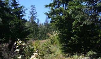 18 Majestic Mountain Rd, Clark Fork, ID 83811