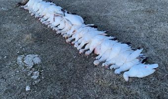 1550 Haskins Rd, Bonanza, OR 97623
