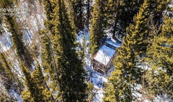 944 Roberts Rd, Alma, CO 80420