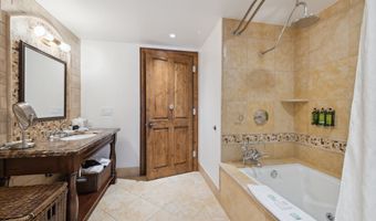 415 E Dean St Unit 36 Week 33, Aspen, CO 81611