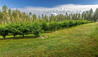 338 Flathead Lodge Rd, Bigfork, MT 59911