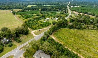 20 Ac State Hwy 95 Columbia Rd, Abbeville, AL 36310