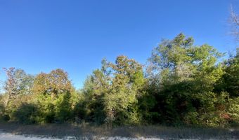Anderson Drive lot 34, Alford, FL 32420