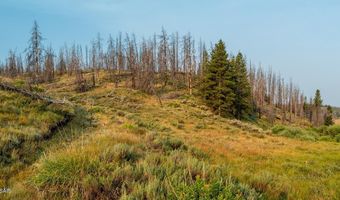 TRACT 17 FISHERMAN CREEK Road, Bondurant, WY 82922