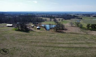2665 Mt. Carmel Rd, Altoona, AL 35952