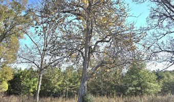 1228 River Rd, Ariton, AL 36311