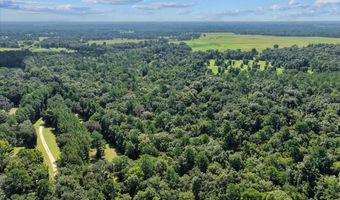 NW 218TH LANE, Alachua, FL 32615