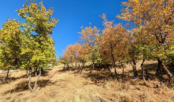 1735 S TEMPLE Ct E 203, Bountiful, UT 84010