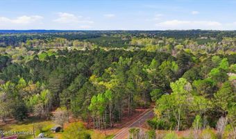 Harrisville Braxton Road, Braxton, MS 39044