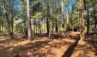 Lot 3 OCEANVIEW COURT, Accomac, VA 23301