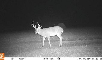 Martha Stockton Road, Albany, KY 42602