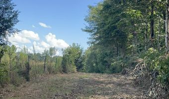 001 Farr Rd, Bolton, MS 39041