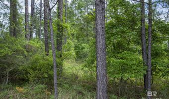 Phillipsville Road lot 2, Bay Minette, AL 36507