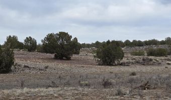 214 Juniper Woods, Ash Fork, AZ 86320