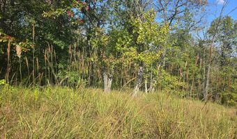 S80 Helt Rd, Antlers, OK 74525