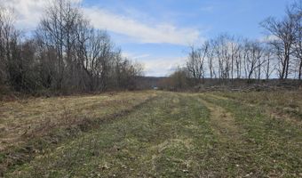 295 Shellstone Rd, Amsterdam, NY 12010