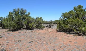 N8604 1, Concho, AZ 85924