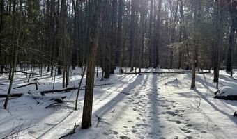 Lot 80-1 Currier Road, Candia, NH 03034