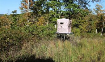 Off Hwy F, Annapolis, MO 63620