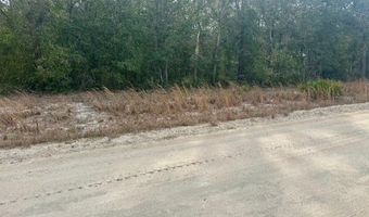 NW 11th Ave, Bell, FL 32619