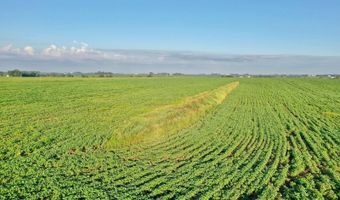 TBD Hwy 14, Allison, IA 50602