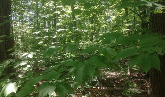 72-1 Frohock Brook Rd, Alton, NH 03810