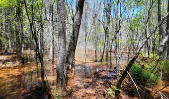 County Road 38, Autaugaville, AL 36003