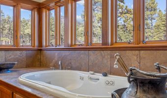 244 County Road 2117, Alpine, AZ 85920