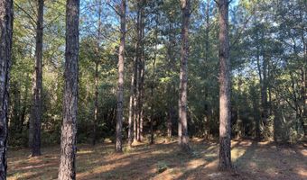 259 Forest Lake Rd, Beaumont, MS 39423