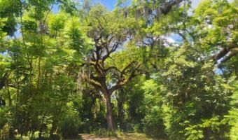 1985 NE 97TH STREED Rd, Anthony, FL 32617