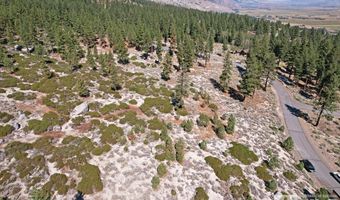 168 Five Creek Rd Lot 3, Gardnerville, NV 89460