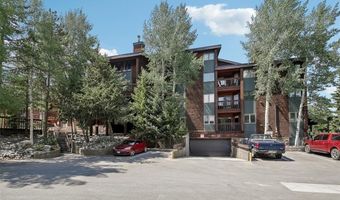 305 S Park Ave 303, Breckenridge, CO 80424