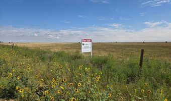 0 S Lot B County Road 83, Briggsdale, CO 80611