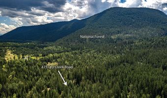 475 Dry Creek Rd, Clark Fork, ID 83811