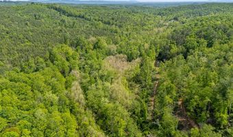 Ahart Ridge Rd lot 58 60 61, Ararat, VA 24053