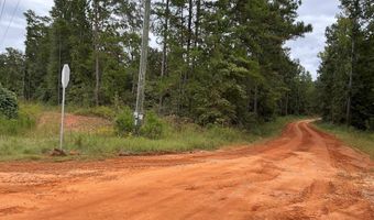 S Henry CR 93/Fisherman's Cutoff, Abbeville, AL 36210