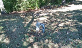 12543 Harrelson Loop, Andalusia, AL 36420