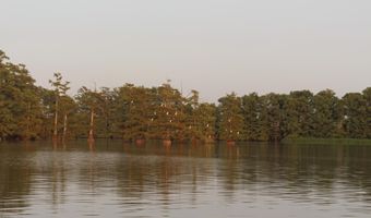 Bolivar Road, Benoit, MS 38725