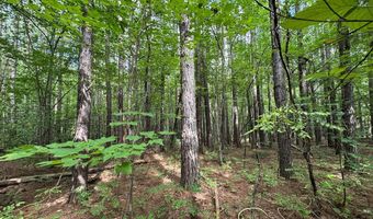 Holiday Lake Road, Appomattox, VA 24522