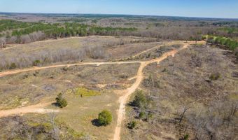 Vista Lane, Bethel Springs, TN 38315