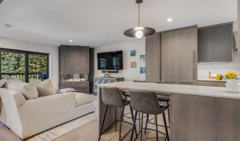 650 S Monarch St 7, Aspen, CO 81611