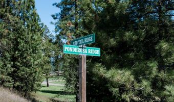 37 Red Tail Rdg, Bigfork, MT 59911